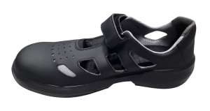 20260205_092135 (1).jpg