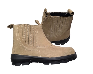 20260205_095052 (1).jpg