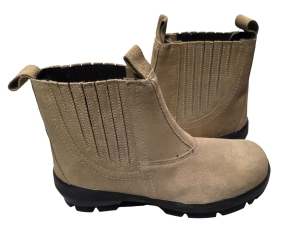 20260205_095040 (1).jpg