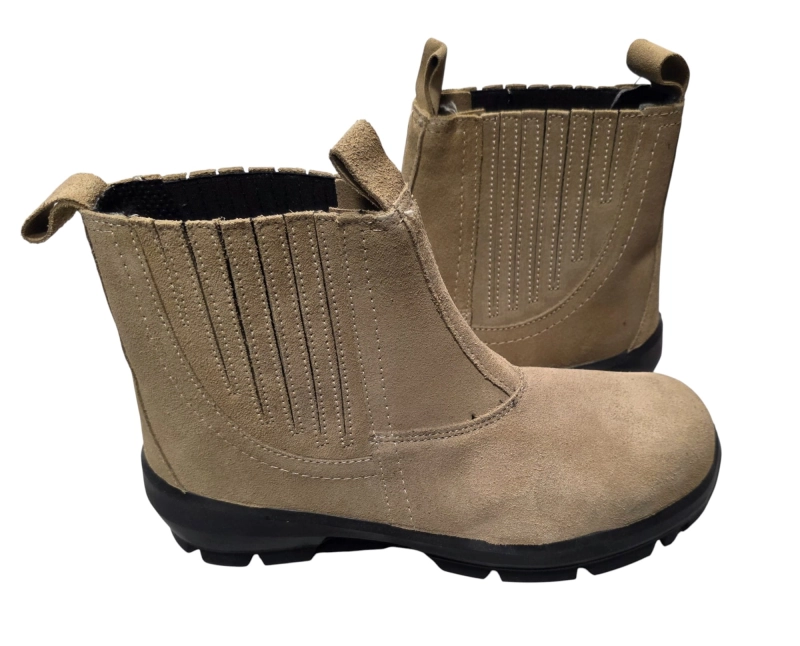 20260205_095040 (1).jpg