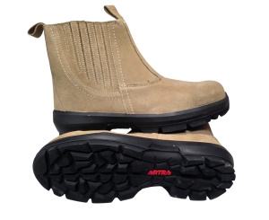 20260205_095124 (1).jpg