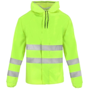 RAINVIS_KPL_YELLOW_2.jpg
