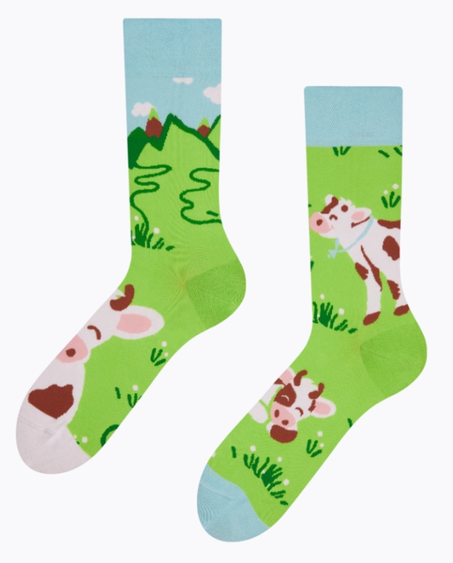 Zrzut ekranu 2026-04-17 131236.png