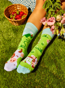 Zrzut ekranu 2026-04-17 131251.png