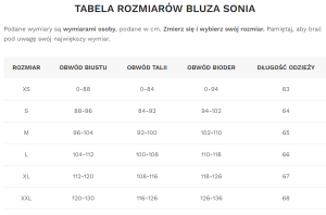 Zrzut ekranu 2023-02-07 165239.png