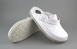 DMKSZDZ BIAŁE 3.png