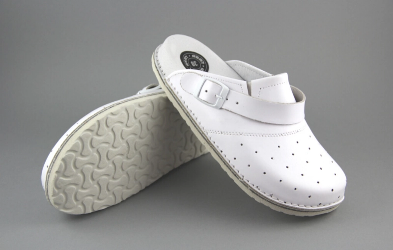 DMKSZDZ BIAŁE 3.png