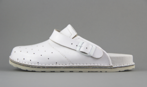 DMKSZDZ BIAŁE 1.png