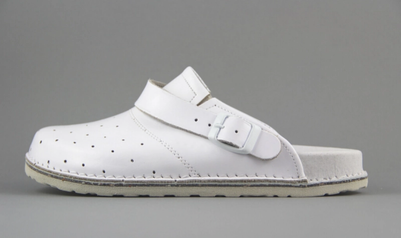 DMKSZDZ BIAŁE 1.png