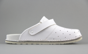 DMKSZDZ BIAŁE 2.png