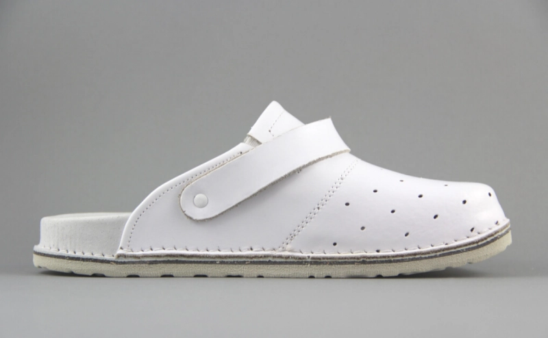 DMKSZDZ BIAŁE 2.png