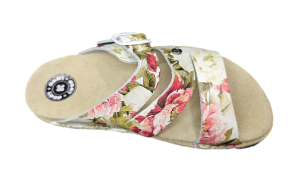 Clipped_image_20230905_182647.png