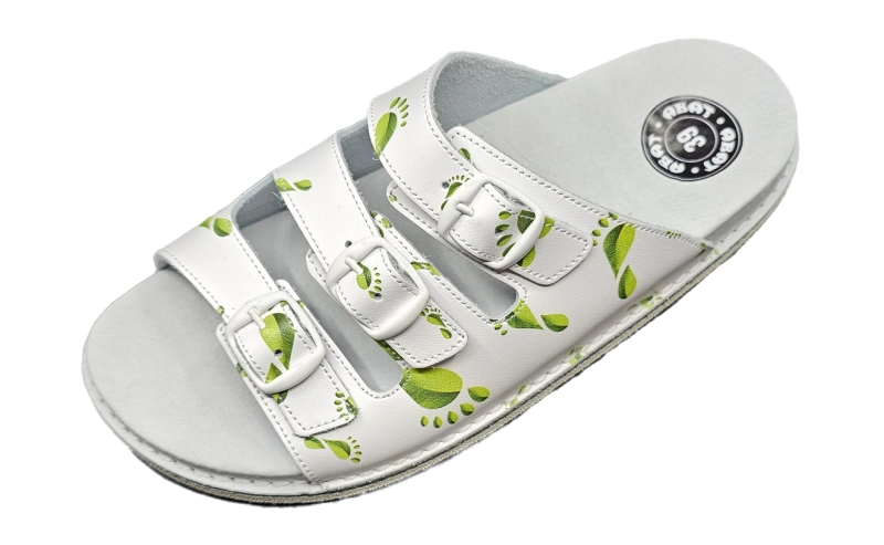 Clipped_image_20230905_142137 (1).png