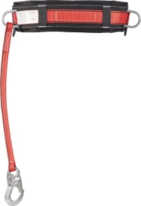AP031_back.jpg