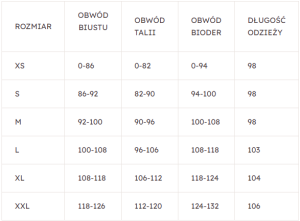 Zrzut ekranu 2024-08-11 150807.png